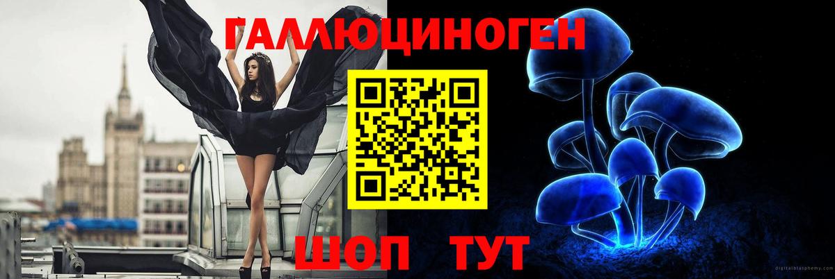 Псилоцибиновые грибы MAGIC MUSHROOMS Электрогорск